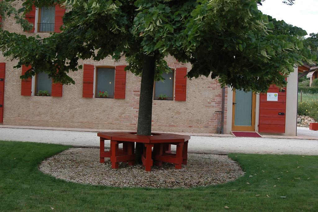 Agriturismo La Paterna Giavera del Montello ภายนอก รูปภาพ